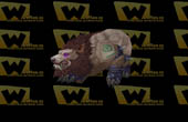 worgen bear form cataclysm