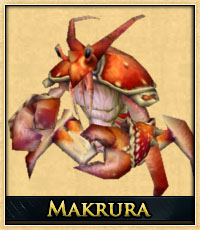 makrura