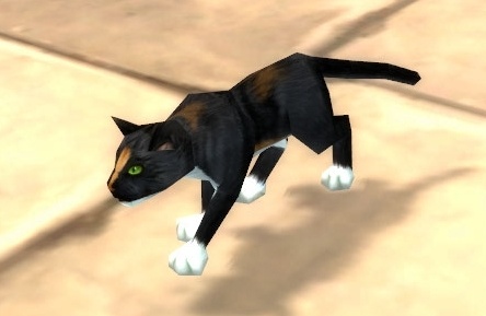 calico cat patch 3.3 pet