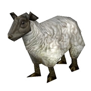 lamb